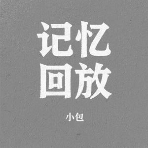 记忆回放