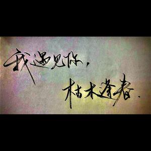 你一定能够成为你想要去成为的人 自弹钢琴伴奏