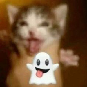 Carnificina (slowed)