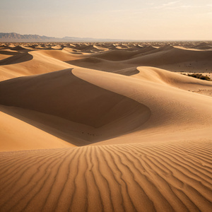 Il Sospiro Del Vento