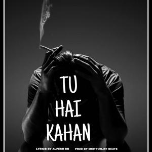 Tu Hai Kahan Alpesh DB