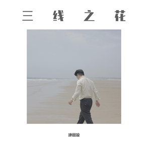 三线之花 Instrumental （Cover Begin）
