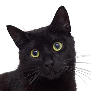 紫气东来时鸿运当头照