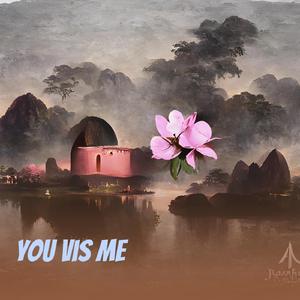 You Vis Me
