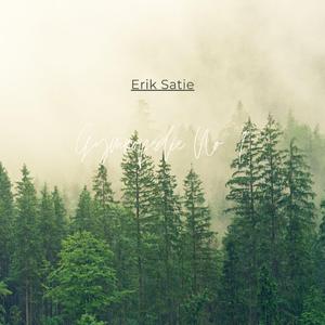 Gymnopédie No. 1 piano with forest sound