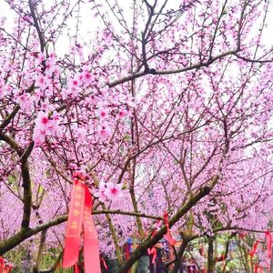一汪清泉