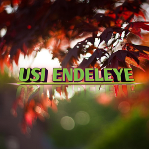 usi endeye