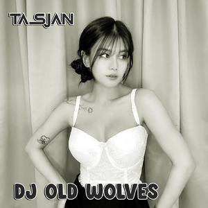 Dj Old Wolves