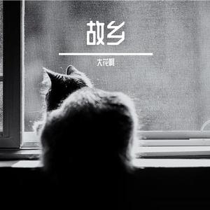 斑马,斑马（翻自 宋冬野）