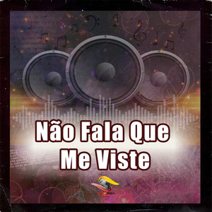 Não Fala Que Me Viste