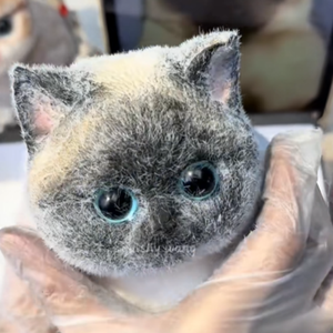 《未寄出的信》