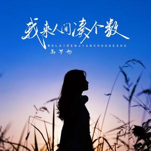 我来人间凑个数