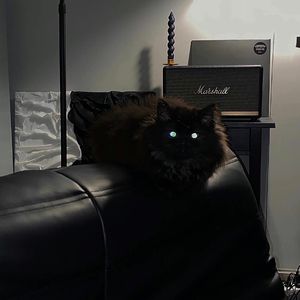 Look别发呆（女版）