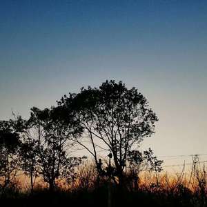 少年的生活实况