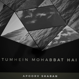Tumhein Mohabbat Hai