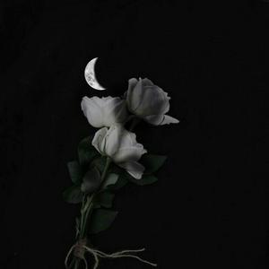 高梨康治-五月的彼岸花（-也许什么都来不及- remix）