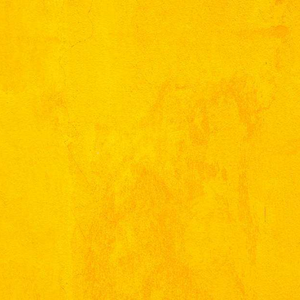 想在你身上探索宇宙的奥秘