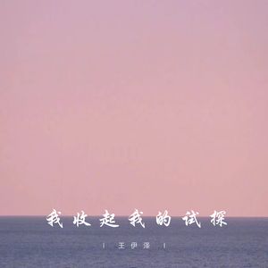 我收起我的试探