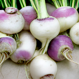 TURNIPS