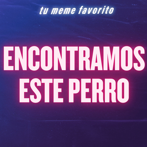 Encontramos Este Perro