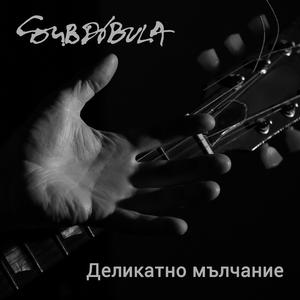 Деликатно мълчание