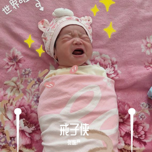 戒子侠