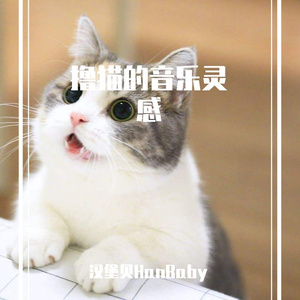 忧伤的猫猫