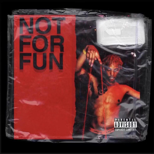 Not for Fun
