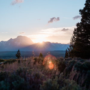 Mᴀᴋɪɴɢ ᴀɴ ᴇɴᴛʀᴀɴᴄᴇ ☆