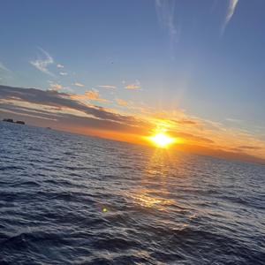 June Mix (feat. BroodEsque, 0791Raven, Iera, Octodog & 6narle)