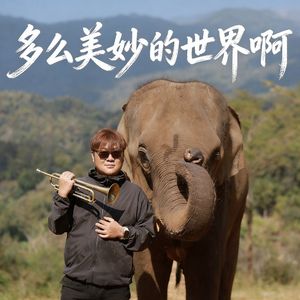 What a Wonderful World(Trumpet Version)