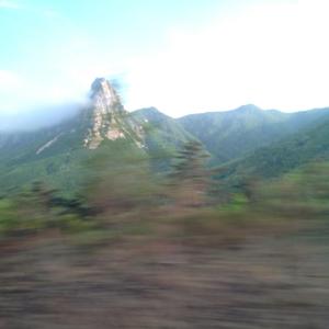 All Good Things (feat. Fiona Reid)