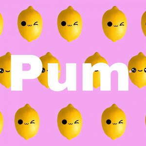 Pum