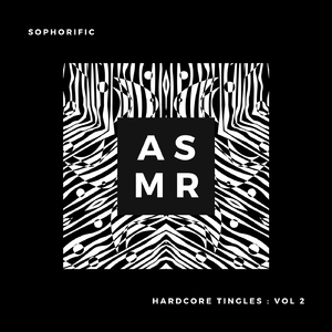 Hardcore Tingles 2: Silicone Sheet (Original Mix)