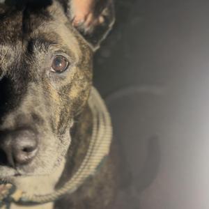 You took all the good pills.