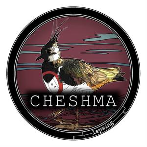 Cheshma II