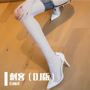 刺客（DJ版）
