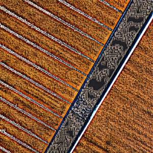 professional garrulity