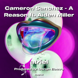 Cameron Sanchez - A Reason ft. Aiden Miller