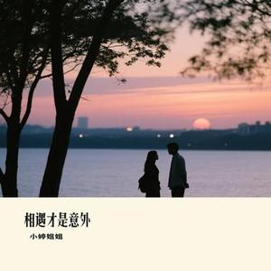 相遇才是意外 (小婷姐姐 Remix)