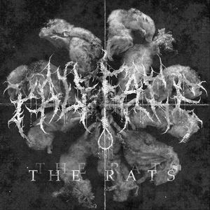 The Rats