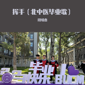 挥手（北中医毕业歌） 伴奏