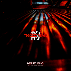 韵（T3GOIZZ remix)