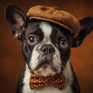 Everyday Reflected in Your Light