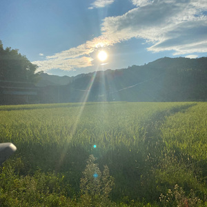 这一生关于你的风景