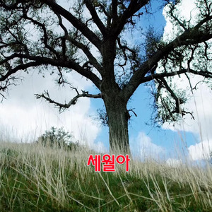 세월아