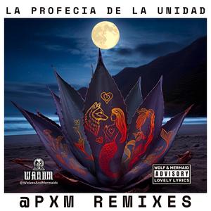 La Profecía de la Unidad (Salsa Habanero Annapurna Remix 1)
