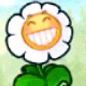 菲菲（cover:沈以诚）