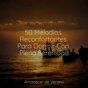 Sueño Brumoso en Movimiento