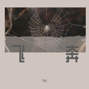 飞奔